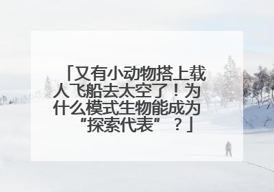 又有小动物搭上载人飞船去太空了！为什么模式生物能成为“探索代表”？