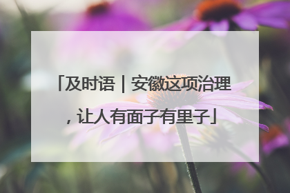 及时语｜安徽这项治理，让人有面子有里子