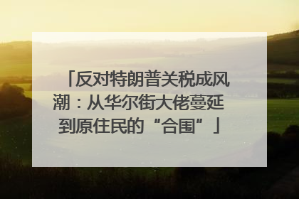 反对特朗普关税成风潮：从华尔街大佬蔓延到原住民的“合围”