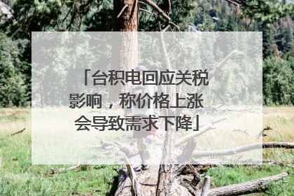 台积电回应关税影响，称价格上涨会导致需求下降