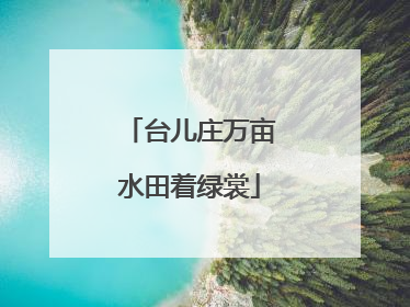 台儿庄万亩水田着绿裳
