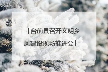 台前县召开文明乡风建设现场推进会