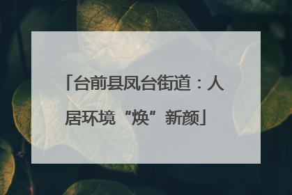 台前县凤台街道：人居环境“焕”新颜