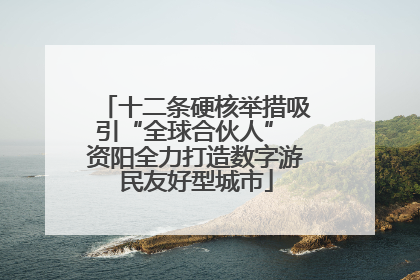 十二条硬核举措吸引“全球合伙人” 资阳全力打造数字游民友好型城市