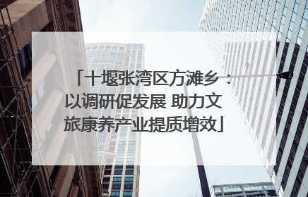 十堰张湾区方滩乡：以调研促发展 助力文旅康养产业提质增效