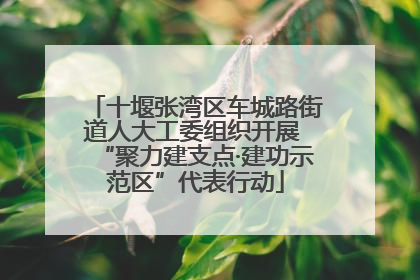 十堰张湾区车城路街道人大工委组织开展 “聚力建支点·建功示范区”代表行动