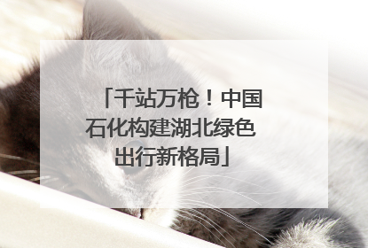 千站万枪！中国石化构建湖北绿色出行新格局