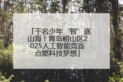 千名少年‘智’逐山海！青岛崂山区2025人工智能竞赛点燃科技梦想