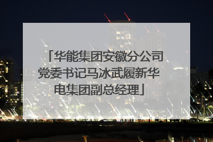 华能集团安徽分公司党委书记马冰武履新华电集团副总经理