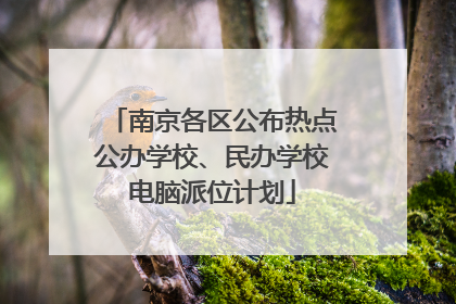 南京各区公布热点公办学校、民办学校电脑派位计划