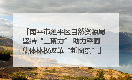 南平市延平区自然资源局坚持“三聚力” 助力擎画集体林权改革“新图景”