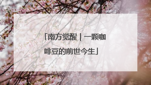 南方觉醒｜一颗咖啡豆的前世今生