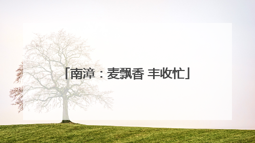 南漳：麦飘香 丰收忙