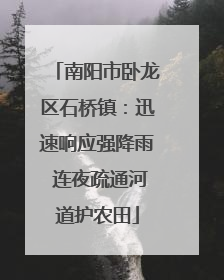 南阳市卧龙区石桥镇：迅速响应强降雨 连夜疏通河道护农田