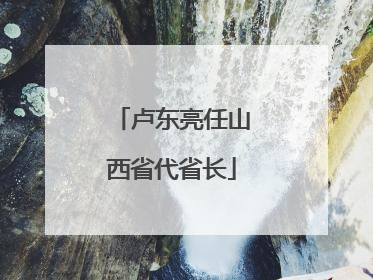 卢东亮任山西省代省长
