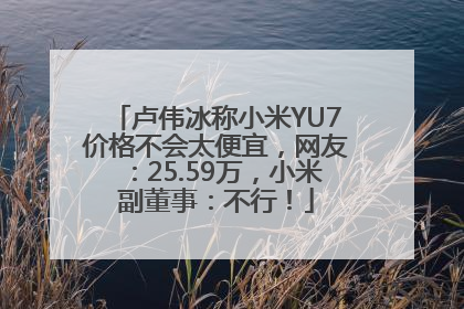 卢伟冰称小米YU7价格不会太便宜，网友：25.59万，小米副董事：不行！