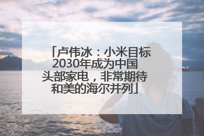 卢伟冰：小米目标2030年成为中国头部家电，非常期待和美的海尔并列