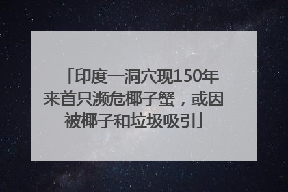 印度一洞穴现150年来首只濒危椰子蟹，或因被椰子和垃圾吸引