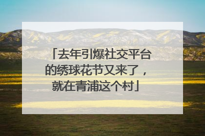 去年引爆社交平台的绣球花节又来了，就在青浦这个村