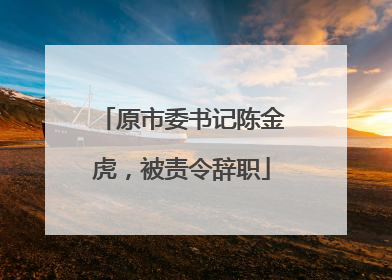 原市委书记陈金虎，被责令辞职