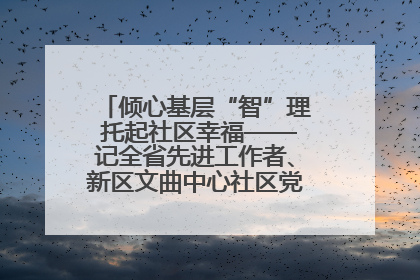 倾心基层“智”理 托起社区幸福——记全省先进工作者、新区文曲中心社区党委书记董世弘