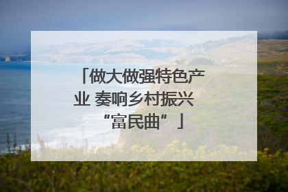 做大做强特色产业 奏响乡村振兴“富民曲”