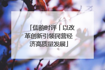 儒韵时评丨以改革创新引领民营经济高质量发展