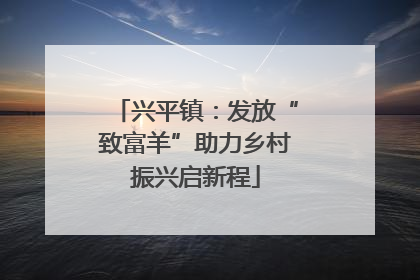 兴平镇：发放“致富羊”助力乡村振兴启新程
