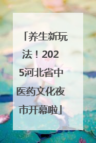 养生新玩法！2025河北省中医药文化夜市开幕啦