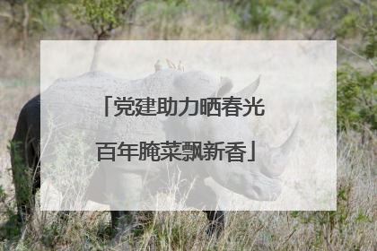 党建助力晒春光 百年腌菜飘新香