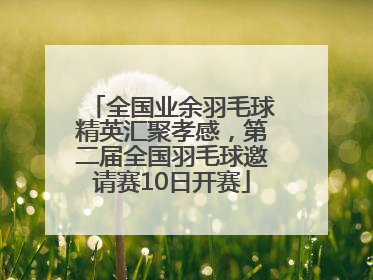 全国业余羽毛球精英汇聚孝感，第二届全国羽毛球邀请赛10日开赛
