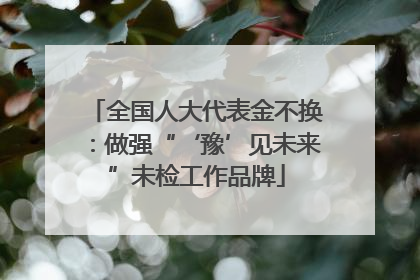 全国人大代表金不换：做强“‘豫’见未来”未检工作品牌