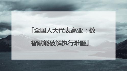 全国人大代表高亚：数智赋能破解执行难题