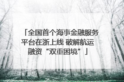 全国首个海事金融服务平台在浙上线 破解航运融资“双重困境”