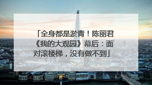 全身都是淤青！陈丽君《我的大观园》幕后：面对滚楼梯，没有做不到