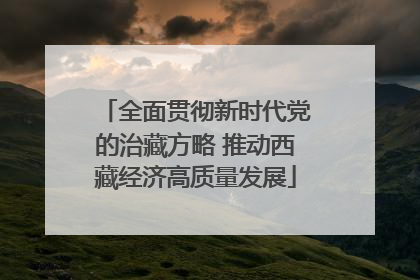 全面贯彻新时代党的治藏方略 推动西藏经济高质量发展