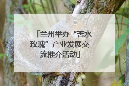 兰州举办“苦水玫瑰”产业发展交流推介活动