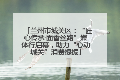 兰州市城关区：“匠心传承·面香丝路”媒体行启幕，助力“心动城关”消费提振