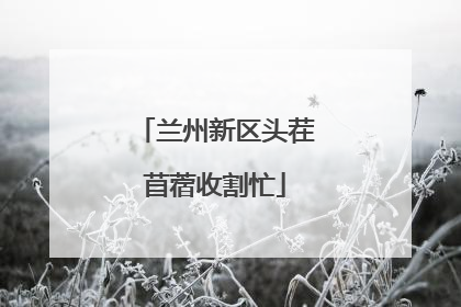 兰州新区头茬苜蓿收割忙
