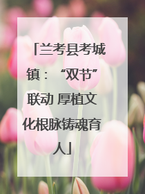 兰考县考城镇：“双节”联动 厚植文化根脉铸魂育人
