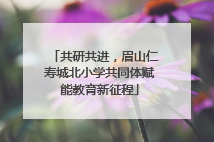 共研共进，眉山仁寿城北小学共同体赋能教育新征程