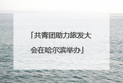 共青团助力旅发大会在哈尔滨举办