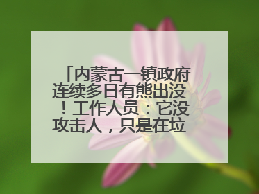内蒙古一镇政府连续多日有熊出没！工作人员：它没攻击人，只是在垃圾桶翻找食物