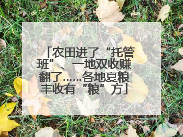农田进了“托管班”、一地双收赚翻了……各地夏粮丰收有“粮”方