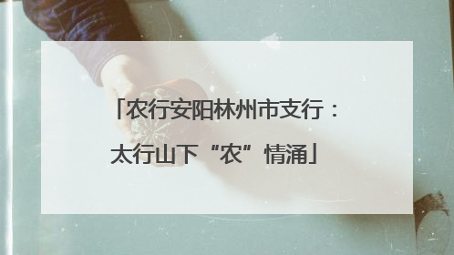 农行安阳林州市支行：太行山下“农”情涌