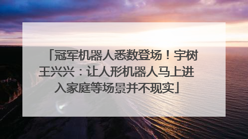 冠军机器人悉数登场！宇树王兴兴：让人形机器人马上进入家庭等场景并不现实