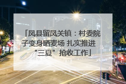 凤县留凤关镇：村委院子变身晒麦场 扎实推进“三夏”抢收工作