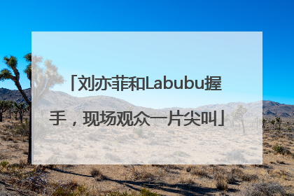 刘亦菲和Labubu握手，现场观众一片尖叫