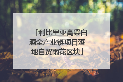 利比里亚高粱白酒全产业链项目落地自贸雨花区块
