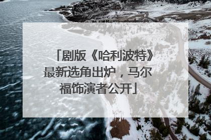 剧版《哈利波特》最新选角出炉，马尔福饰演者公开